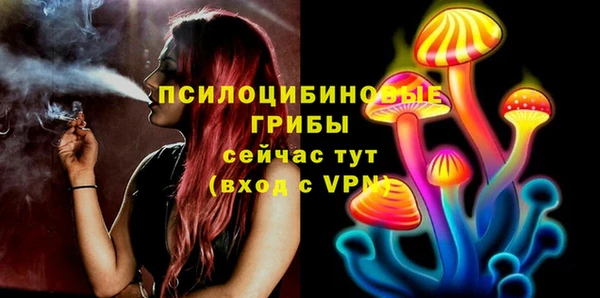 ALPHA PVP Алзамай